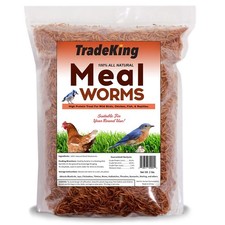 2 LB Dried Mealworms High Protein Treat For Wild Birds Chicken Fish Reptile