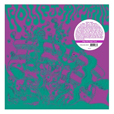 WOBBLE JAGGLE JIGGLE - OVERFLOWING BOWL OF GREEN JELLY - Vinyl Record - G1398z