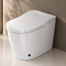 Sanyipace Bidet Smart Toilet W/ Heat Seat Auto Flush Dryer LED Free Shipping