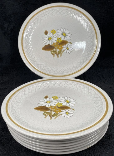 Color Stone Nikko Dinner Plate 10.5” SET (8) Heather Yellow White Daisies Flower