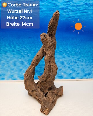   Corbo Root Aquarium Traum Wurzel