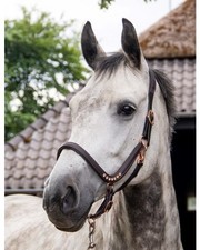 anatomisches Leder Halfter Gr. Cob in braun / rosegold + Svarowskikristallen +