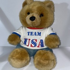 F28 Wacky Bear Factory Brown Teddy Soft Fur Stuffed Animal Plush Team USA