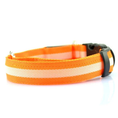 Nylon Dog Collars