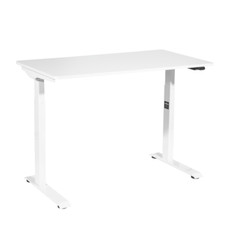 Electric Sit & Standing Height Adjustable  Computer Desk 1200 x 600 DellondaDH56
