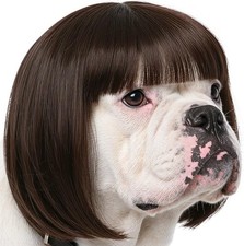 Funny Dog Wig for Small Medium Large Dogs with One Size, Black Brown Straight