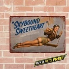 Aircraft Riveted Nose Art Illustration Vintage Aviation Metal Tin Sign