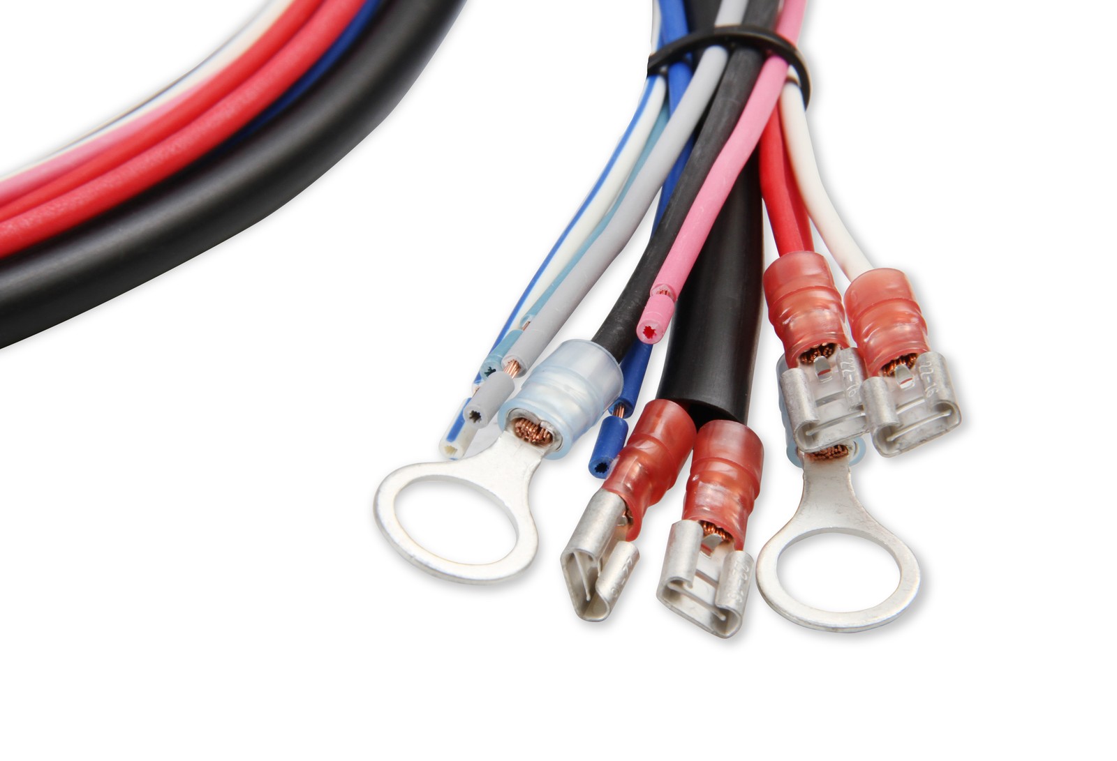 6530 MSD Digital Programmable 6AL-2 - Red