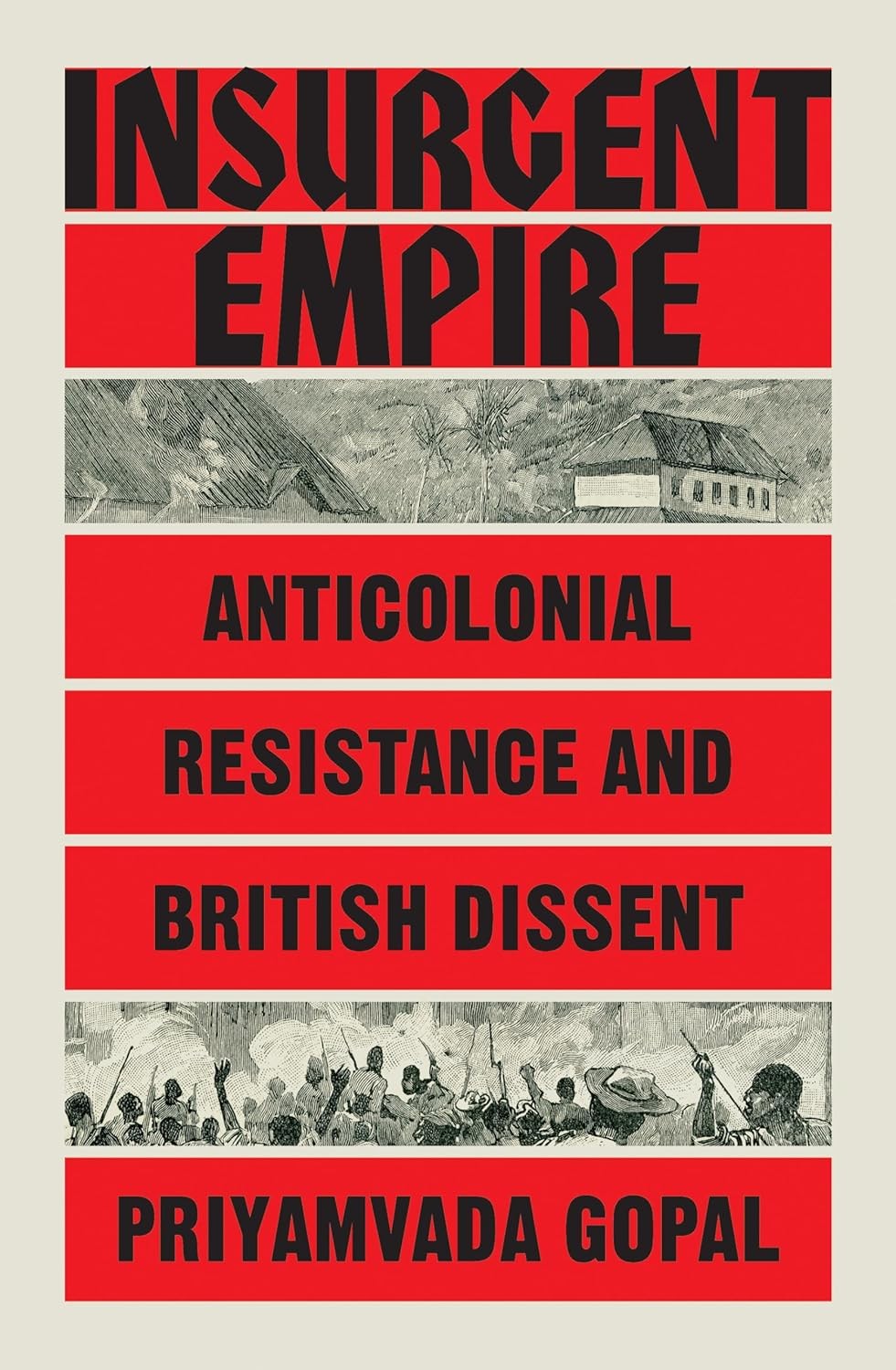 Insurgent Empire: Anticolonial Resistance and British Dissent by Priyamvada Gop - Image 12