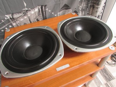 Tannoy T-125 Basslautsprecher 2 Stück