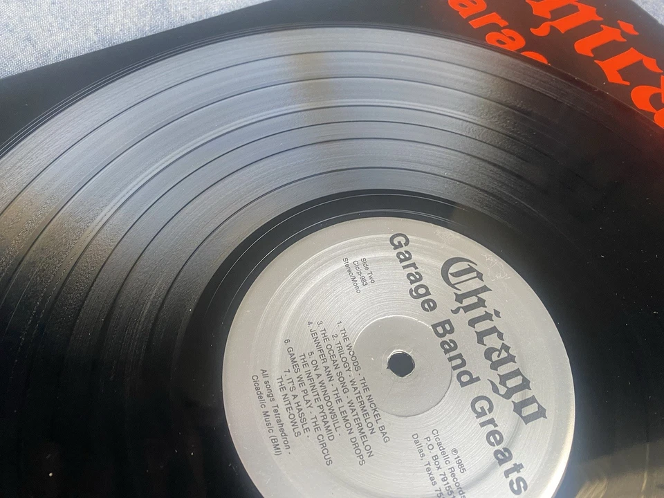 “THE BEST OF REMBRANDT RECORDS 1966-1968” Chicago Garage Bands Greats NM/VG+ - Image 3 of 4