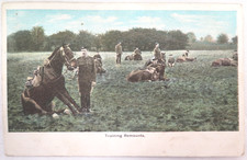 WWI Era Postcard Entitled 'Training Remounts' Showing Soldiers in Training