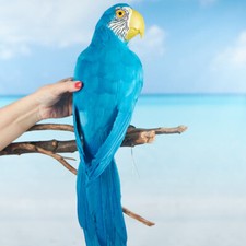 28 Life Size Tropical Blue Artificial Macaw P...