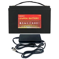 LiFePO4 12V 100Ah Deep Cycle Battery W/BMS RV Camper Road Trip Lawn Mover Solar