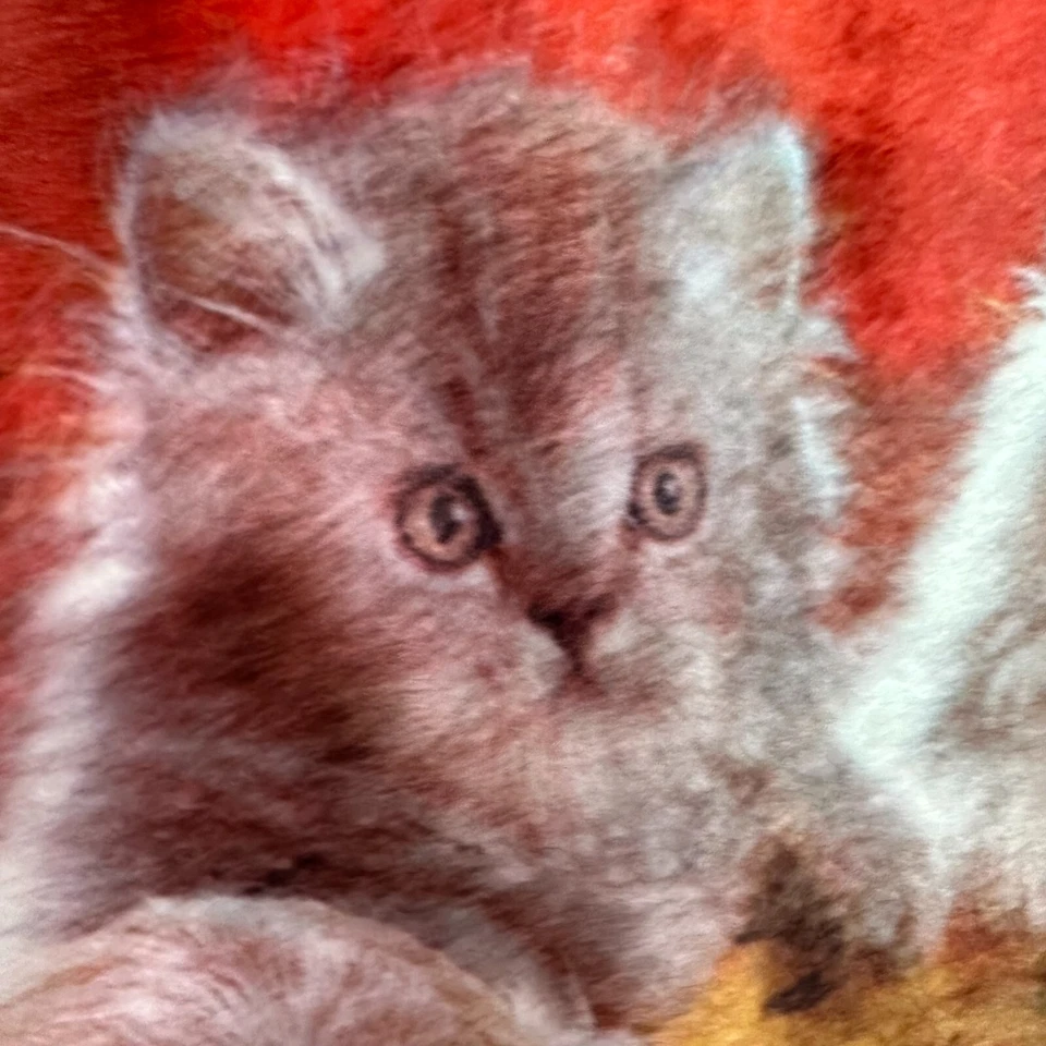 Alfombra peluda difusa de colección años 60 70 alfombra impresa gatitos gatos perro alfombra de baño maximalista Foto 4 de 4