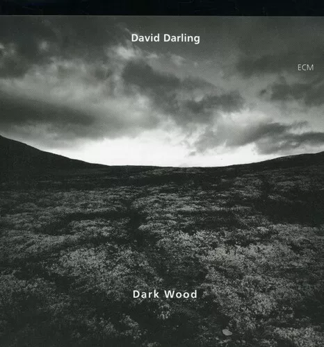 Darkwood