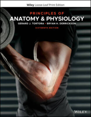 Principles of Anatomy and Physiology - Ring-bound By Tortora, Gerard J - GOOD