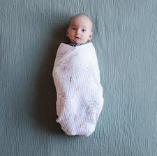 Aden + Anais Essential Cotton Muslin Swaddle