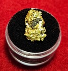 California Natural Gold Nugget  5.1  Grams in a Gem jar w/lid — photo 2