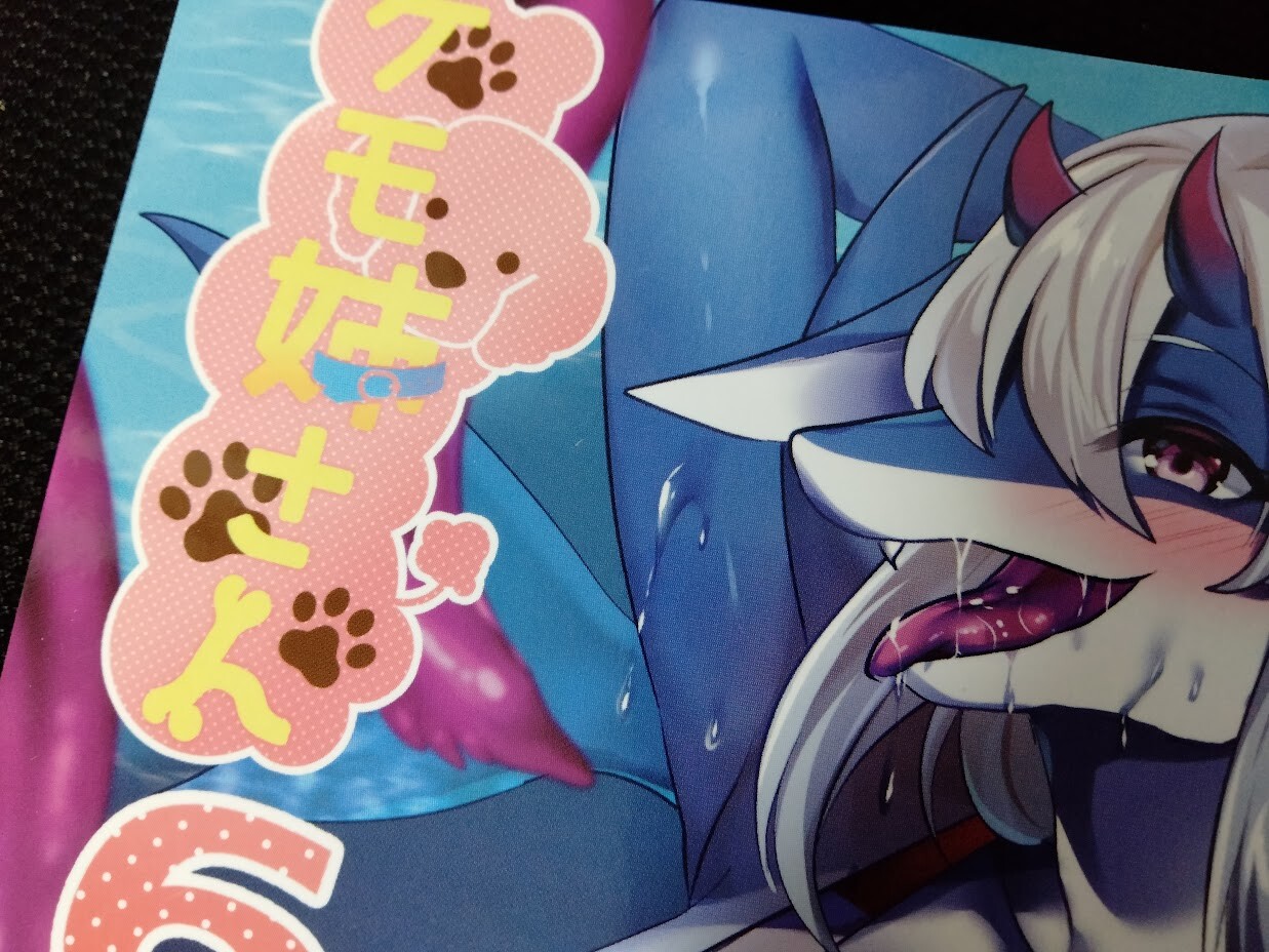 Doujinshi Kemo neesan vol.6 (A5 178pages) kimuchi tei