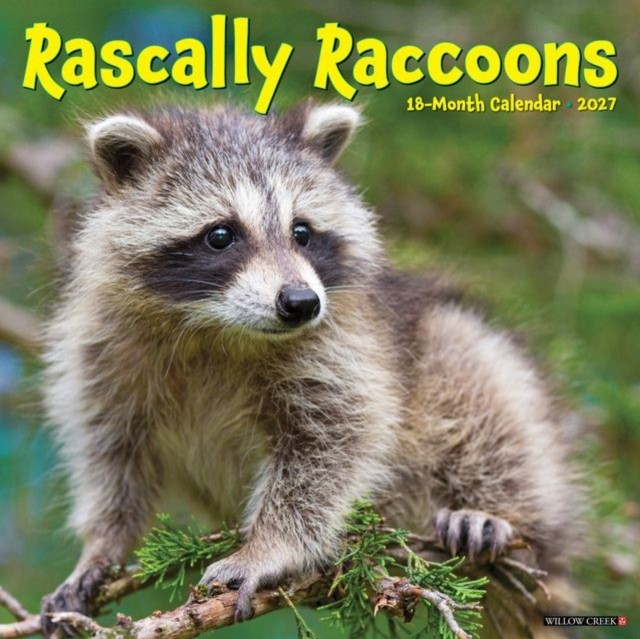 Rascally Raccoons Calendar 2027 - Image 2