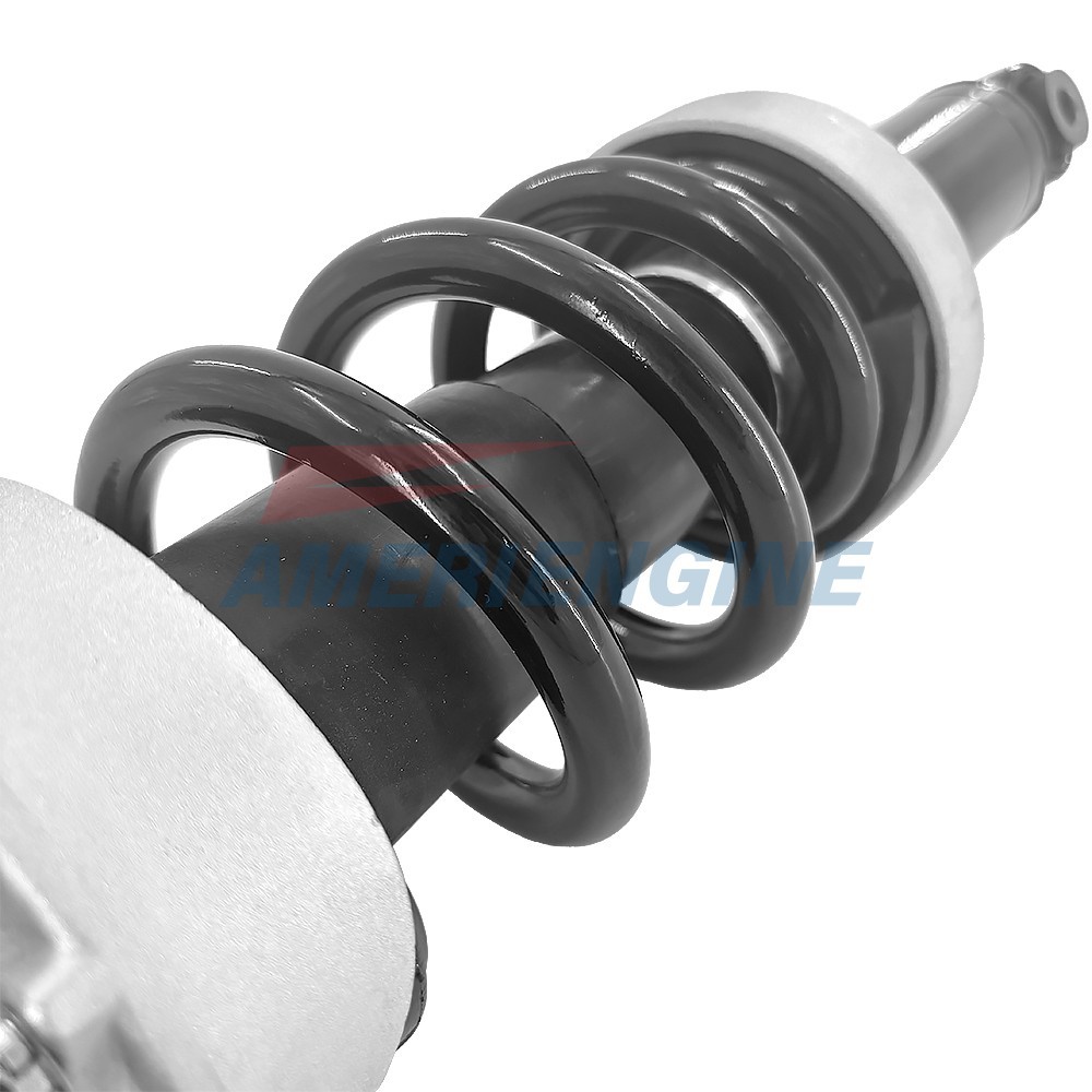 1x Front Right Shock Absorbers for Audi R8 V10 4.2L Coupe 2008-2015 420412020AG
