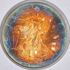 1994 $1 American Silver Eagle Uncirculated - Beautiful Toning (G45)