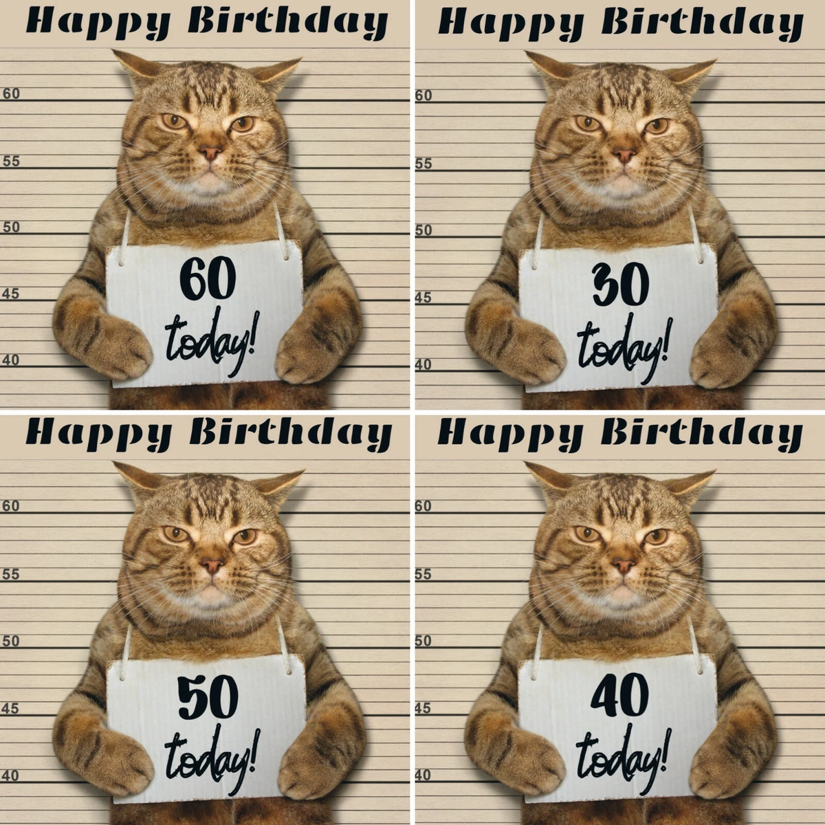 Ceiling Cat Birthday Meme | Shelly Lighting