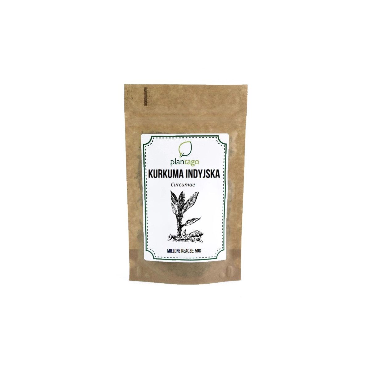 Indian Turmeric Powder - Curcuma longa | 50g