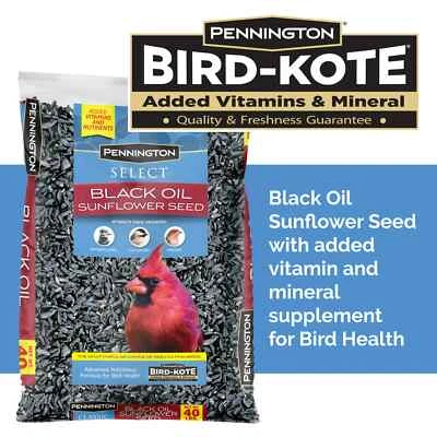 Pennington Select Black Oil Sunflower Seed Wild Bird Dry Feed, 40 lb. Bag