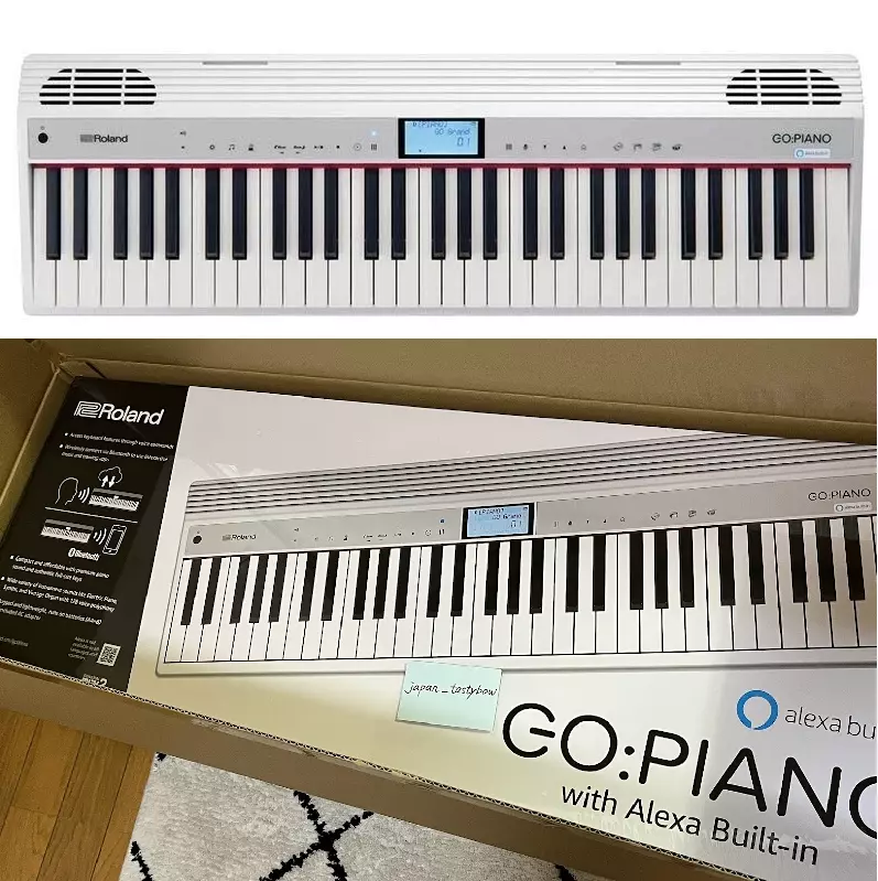 Roland keyboard GO:PIANO GO-61P-A 61 keys with Alexa Built-in