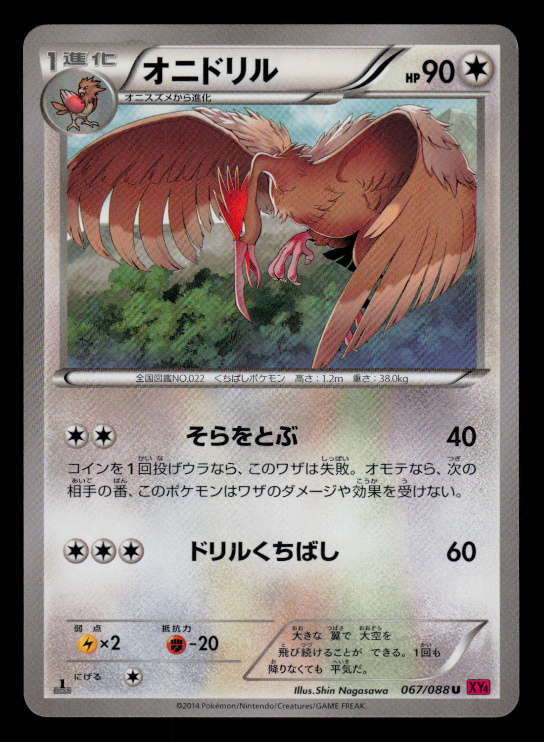 NM - Pokemon Japanese Fearow 067/088 U Phantom Gate XY4 Uncommon 1ST ED
