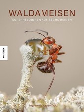 Waldameisen. Superheldinnen auf sechs Beinen....