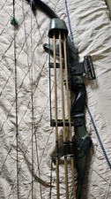 Bear Archery Bow Right Handed With Arrows And...