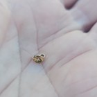 Gold Tone Metal Jewelry Clasp Finding, 1 Piece, for Bracelet or Necklace — photo 1