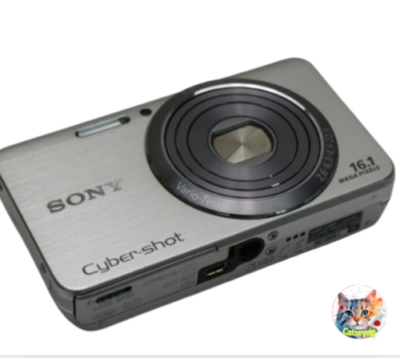 SONY Cyber shot DSC-W630 16.1MP 5.0x Compact Digital Camera