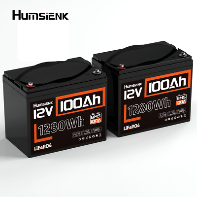 12V 200Ah LiFePO4 Lithium Battery 2 Pack 100Ah Deep Cycle BMS RV Solar Off-grid