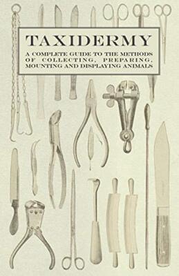 Taxidermy - A Complete Guide to the Methods of Collecting, Preparing, ...
