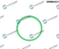 Dr.Motor Automotive Dichtring, Ladeluftschlauch DRM02431 FüR Bmw