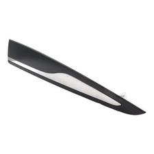 Baguette de porte Renault CLIO