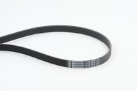 Keilrippenriemen Continental Ctam 6PK2490 FüR A6 A4 A8 Q7 Audi A5 Voyager VW 7LA