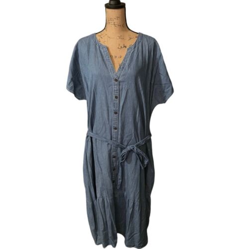 Terra & Sky Dolman Sleeve Dress