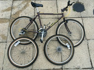 muddy fox courier comp