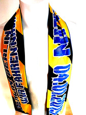 Fußball  Fan-Schal "Wir fahren nach BERLIN" DFB-Pokal-Finale Sonderzug