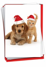 12 Merry Christmas Cards 1 Design, 12 Cards - Copy Cats B6596HXSG
