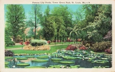 Famous Lily Ponds Tower Grove Park St. Louis MO E.C. Kropp postcard 3.23