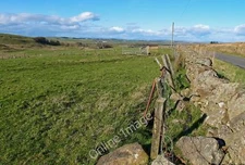 Photo 12x8 Sheep Grazing Fields Gabroc Hill View over Carswell Farm to the c2011