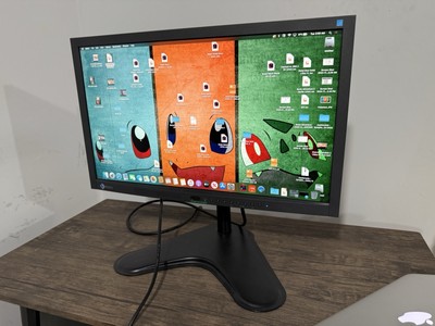 Eizo FlexScan 23  FHD ColorLCD Monitor EV2333W DEFECTIVE LINE| PLEASE READ|WORKS