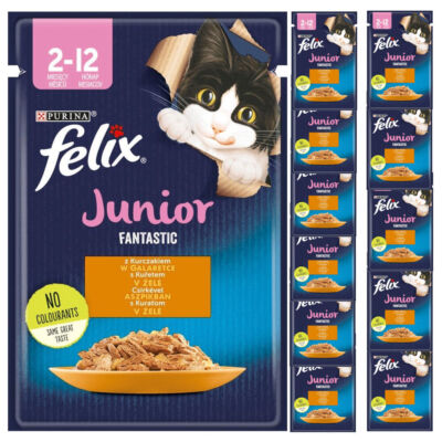FELIX JUNIOR FANTASTISCHES HUHN MIT GELEE 12x85g