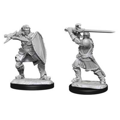 D&D Nolzur's Marvelous Miniatures: Human Paladin Male